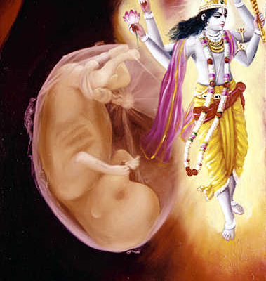 Srimad Bhagavatam 24