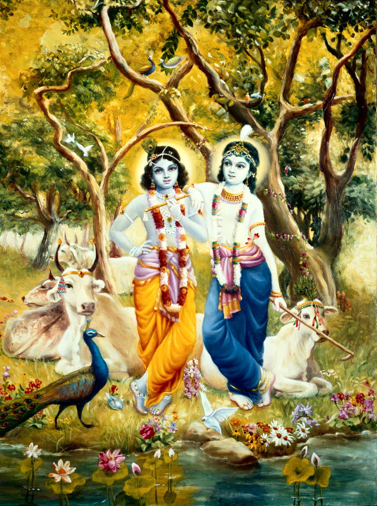 Kb Yamuna1